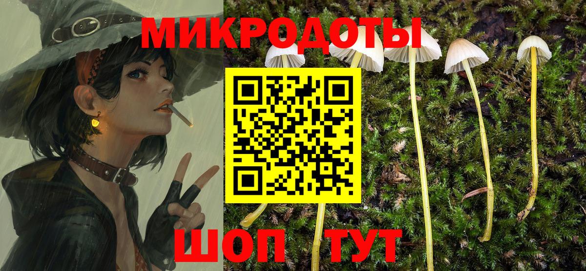 Псилоцибиновые грибы Psilocybe  Вход с VPN  Челябинск 